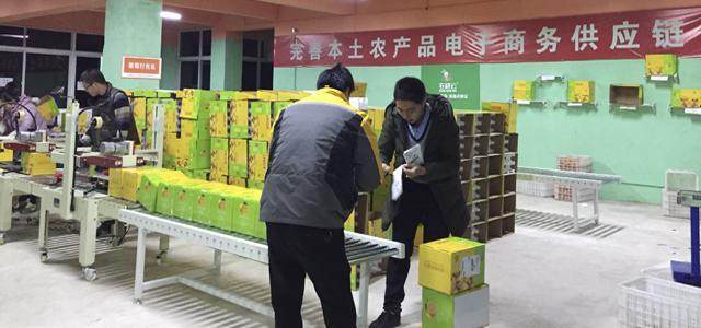 借力農村電商“東風” 助推金堂柑橘銷往全國